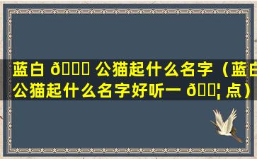 蓝白 🐟 公猫起什么名字（蓝白公猫起什么名字好听一 🐦 点）